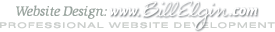 Elgin Enterprises, Professional Website Development