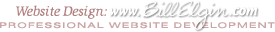 Elgin Enterprises, Professional Website Development