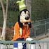 Goofy
